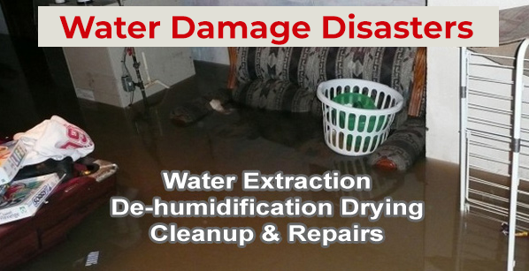 American Fork, UT  water damage cleanup