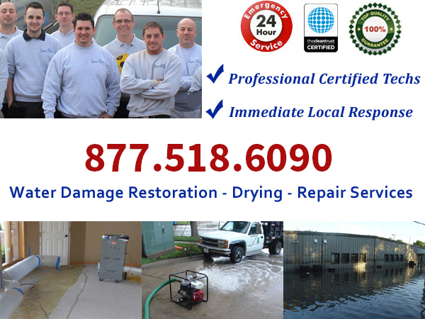 basement water damage cleaning service